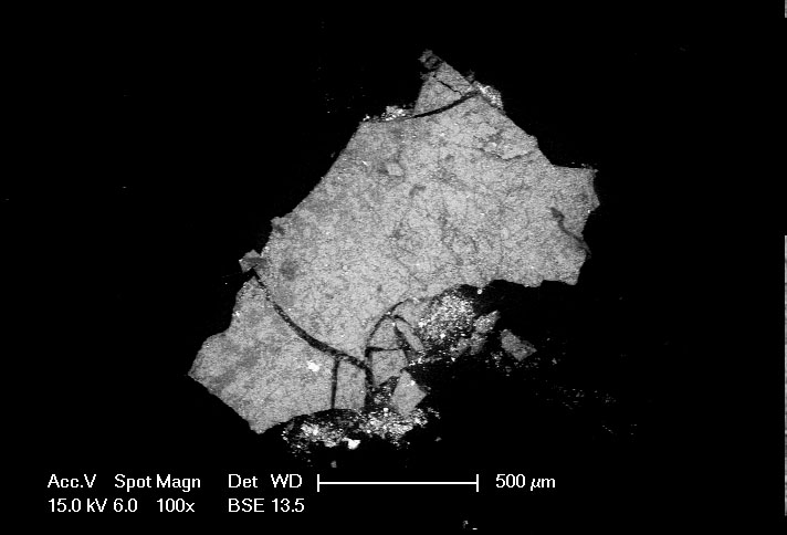 SEM image of small paint sample