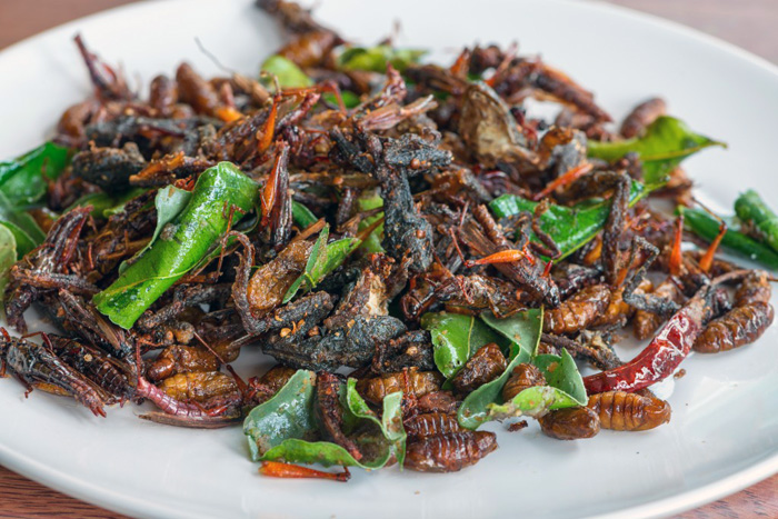 A fried insect dish