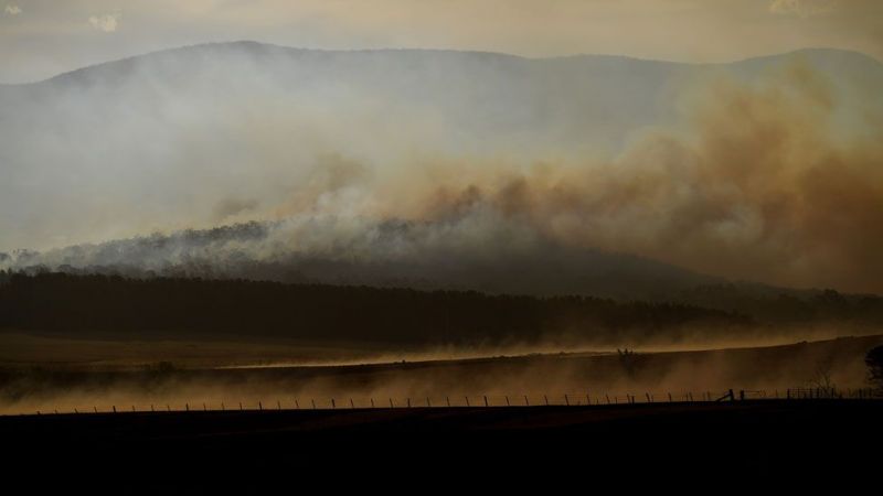 Bushfires near Plumwood Mountain, NSW in late 2019