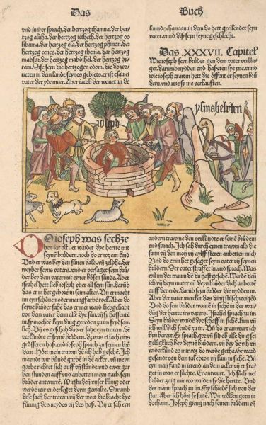 Joseph taken out of the well 