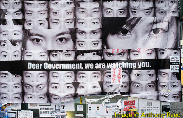 Image for “Liberating Technologies”: Digital Cultures of Protest in China