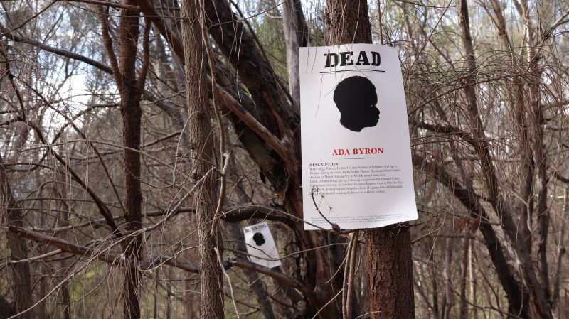 Julie Gough, MISSING or DEAD (2019) 185 printed posters first installed in “The Queen’s Domain” forest, Hobart, June 2019, during Dark Mofo. Ink on rag photographique paper, each 34 x 21.2 cm, designed in collaboration with Margaret Woodward