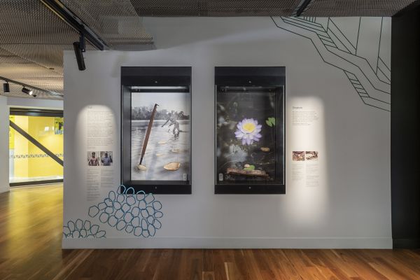 Installation view of the 'Awaken' exhibition in the Arts West Gallery. Photo: Christo Crocker, 2019.