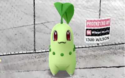 Screen-cap of image from Pokemon Go