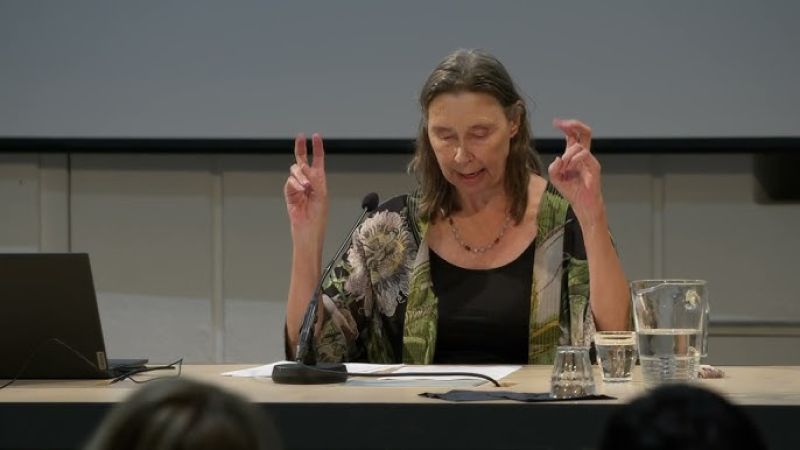 Image for After the Symptom (The Deluge), Assoc Prof. Sigi Jöttkandt