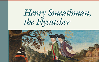 Henry Smeathman, the Flycatcher