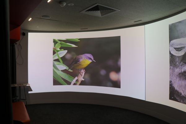 The immersive room in the Digital Studio showing slideshows of the photography from the This is Us exhibition