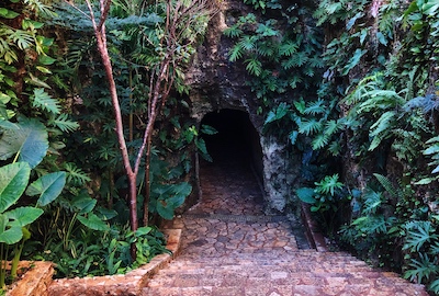 A path leading to a tunnel in the jungle
