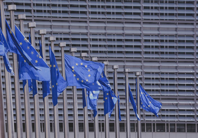 line of EU flags in-front of building