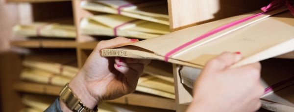 Student retrieving data from the filing system in a library, library Retrieving Plant Data from Filing System