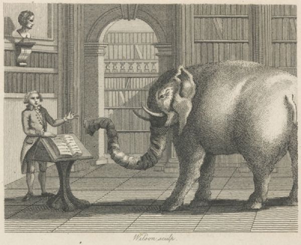 The Elephant and the Bookseller, 1793