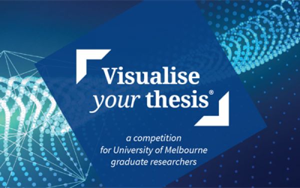 Image for Visualise Your Thesis 2019 screening
